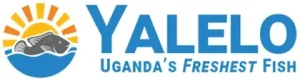 Yalelo